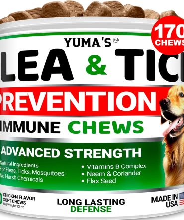 Flea and Tick Prevention for Dogs New Flavor
