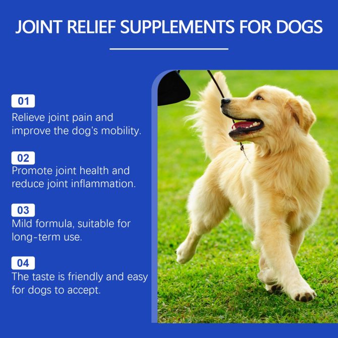 Yegbong Pet Dog Joint Supplement To Enhance Nutrition Care Joint Health Pet Joint Care Agent - Image 3