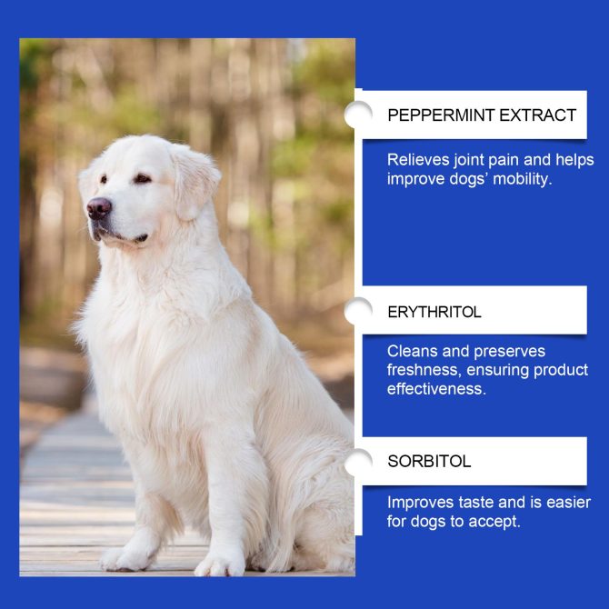 Yegbong Pet Dog Joint Supplement To Enhance Nutrition Care Joint Health Pet Joint Care Agent - Image 4
