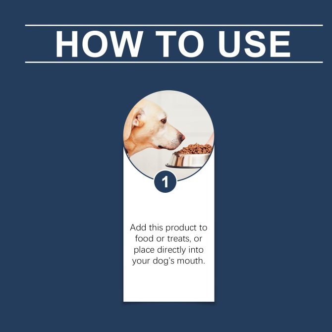 Yegbong Food Supplement For Dogs, Immune-Boosting Healthy Dietary Supplement For Dogs - Image 5