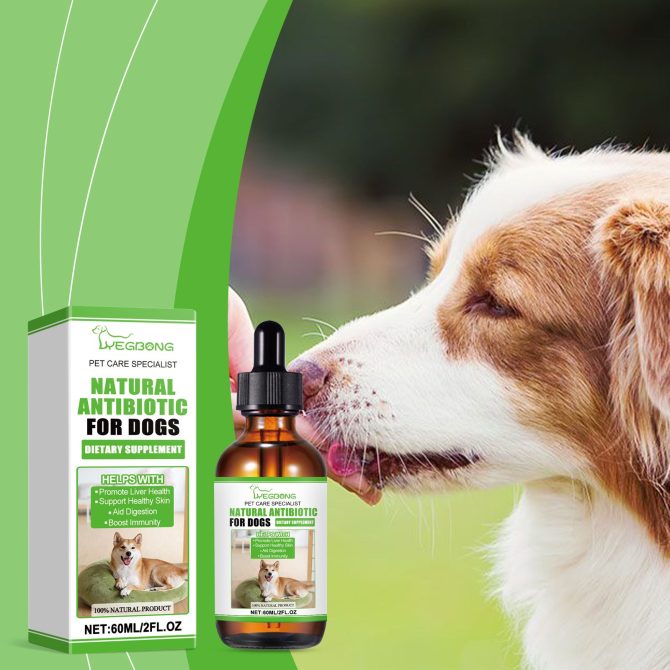 Yegbong Dietary Supplements For Dogs, To Promote Pet Health Pet Dogs Special Dietary Supplements - Image 2