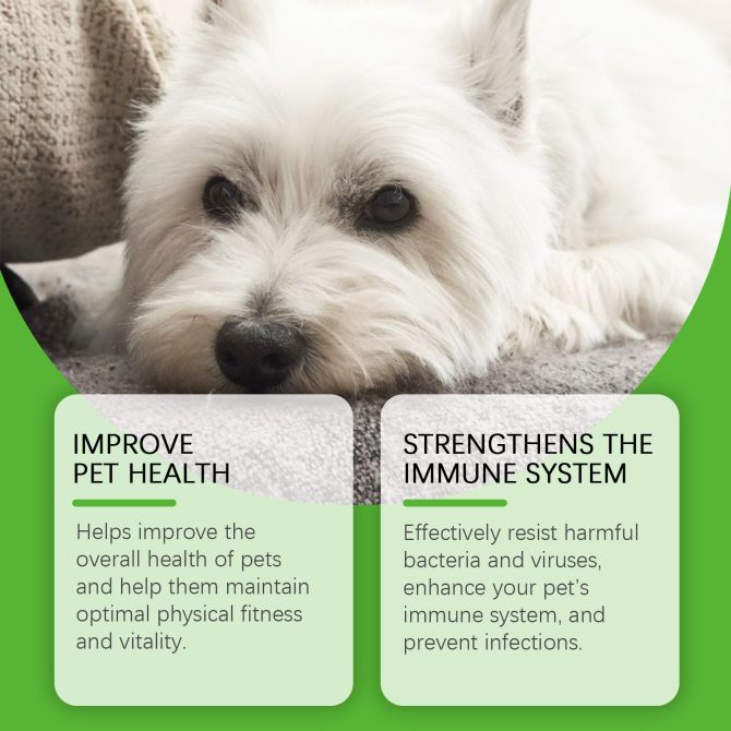 Yegbong Dietary Supplements For Dogs, To Promote Pet Health Pet Dogs Special Dietary Supplements - Image 3
