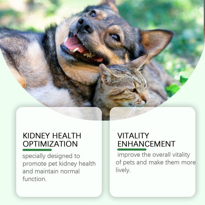 Yegbong Pet Care Supplement To Enhance The Health Of Pets Gentle Ingredient Care Supplement - Image 3
