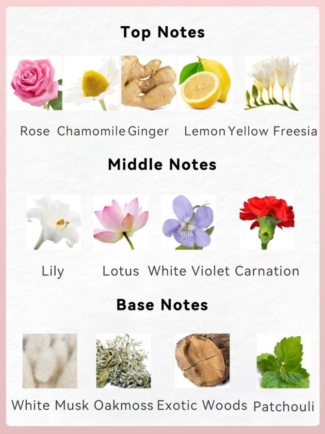3.4fl Oz Women's Eau De Parfum - ROMANTIC MOMENT - Floral & Woody - With Rose, Chamomile, and Lemon - Medium Intensity Perfume - Image 4