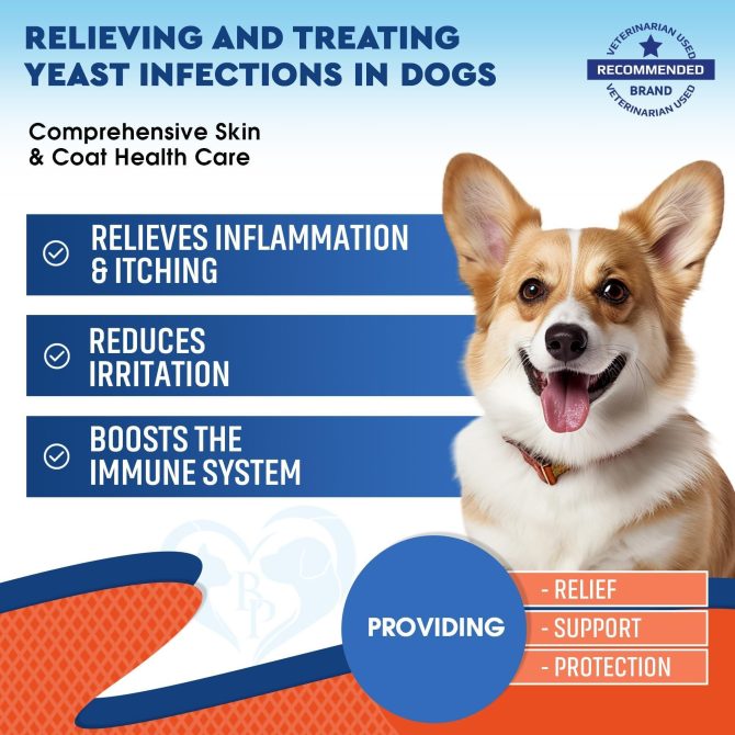Natural Dog Yeast Infection Anti Itch Treatment Itchy Ears Skin & Allergy Symptoms Relief Reduces Inflammation & Relieves Irritation Herbal Medicine Supplement Drops Made in USA - Image 2