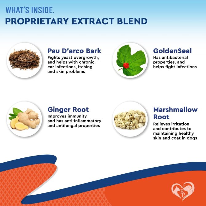 Natural Dog Yeast Infection Anti Itch Treatment Itchy Ears Skin & Allergy Symptoms Relief Reduces Inflammation & Relieves Irritation Herbal Medicine Supplement Drops Made in USA - Image 3