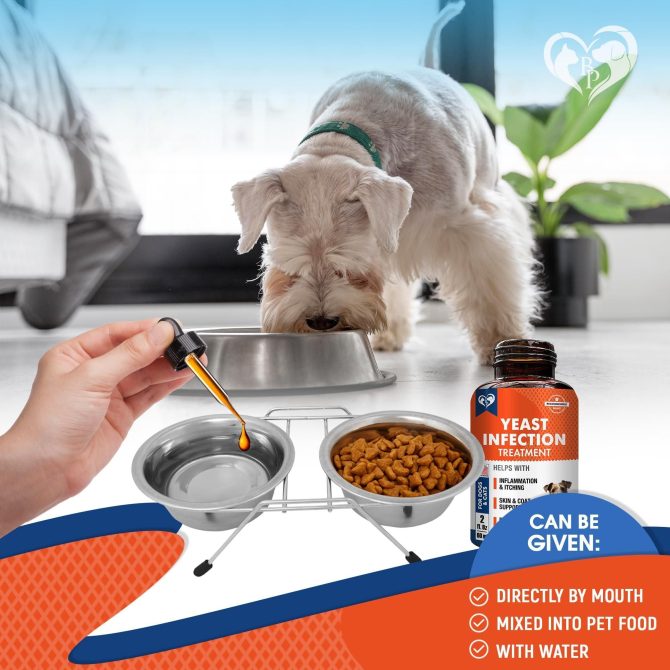 Natural Dog Yeast Infection Anti Itch Treatment Itchy Ears Skin & Allergy Symptoms Relief Reduces Inflammation & Relieves Irritation Herbal Medicine Supplement Drops Made in USA - Image 4