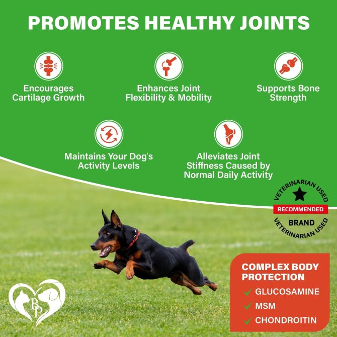 Dog Hip and Joint Supplement Arthritis Pain Relief Treats Glucosamine Chondroitin MSM Soft Chews for Senior Dogs Natural Medicine & Support Mobility Turmeric Vitamins for Dysplasia - Image 2