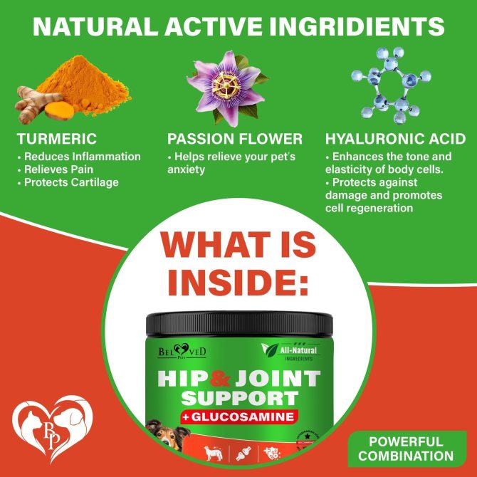 Dog Hip and Joint Supplement Arthritis Pain Relief Treats Glucosamine Chondroitin MSM Soft Chews for Senior Dogs Natural Medicine & Support Mobility Turmeric Vitamins for Dysplasia - Image 3