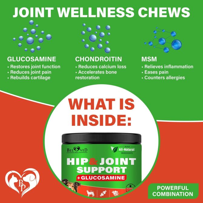 Dog Hip and Joint Supplement Arthritis Pain Relief Treats Glucosamine Chondroitin MSM Soft Chews for Senior Dogs Natural Medicine & Support Mobility Turmeric Vitamins for Dysplasia - Image 4