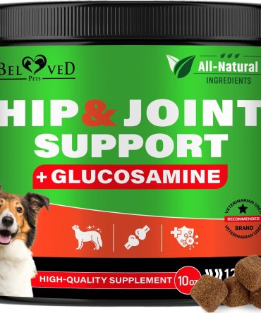 Dog Hip and Joint Supplement Arthritis Pain Relief Treats Glucosamine Chondroitin MSM Soft Chews for Senior Dogs Natural Medicine & Support Mobility Turmeric Vitamins for Dysplasia