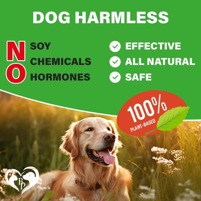 Dog Hip and Joint Supplement Arthritis Pain Relief Treats Glucosamine Chondroitin MSM Soft Chews for Senior Dogs Natural Medicine & Support Mobility Turmeric Vitamins for Dysplasia - Image 6
