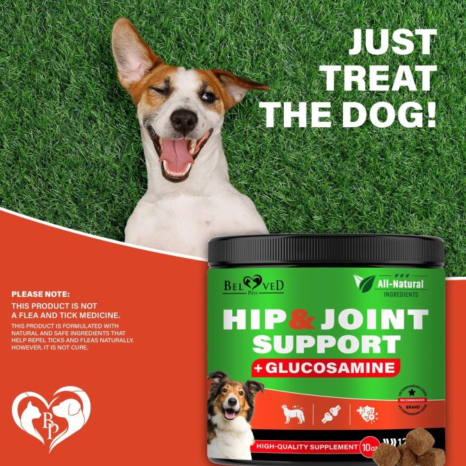Dog Hip and Joint Supplement Arthritis Pain Relief Treats Glucosamine Chondroitin MSM Soft Chews for Senior Dogs Natural Medicine & Support Mobility Turmeric Vitamins for Dysplasia - Image 7