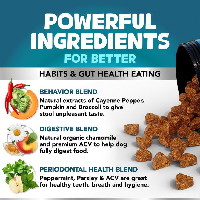 No Poo Chews for Dogs Stop Poop Eating Behavior Probiotics and Digestive Enzymes for Dogs Bad Breath Support for All Breeds Digestive and Gut Health Supplement 180 Soft Chews - Image 4
