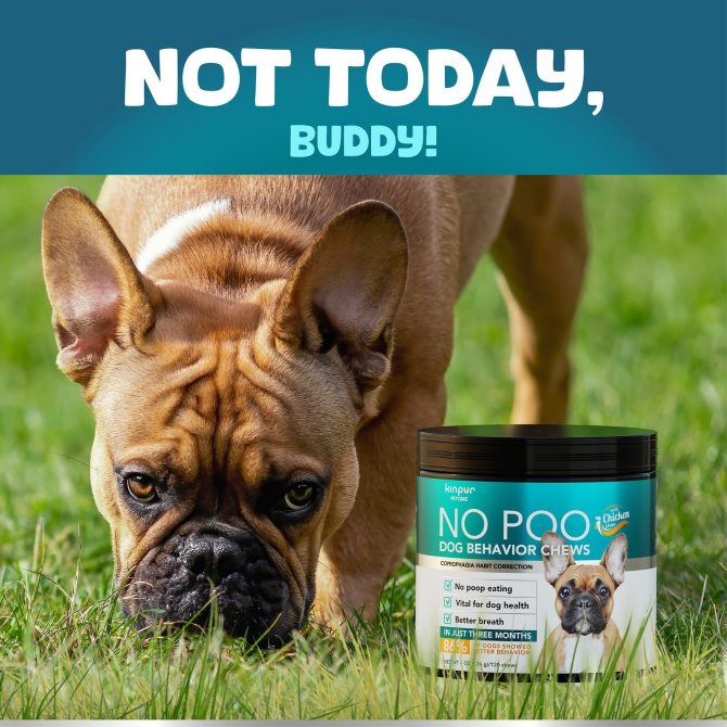 No Poo Chews for Dogs Stop Poop Eating Behavior Probiotics and Digestive Enzymes for Dogs Bad Breath Support for All Breeds Digestive and Gut Health Supplement 180 Soft Chews - Image 6