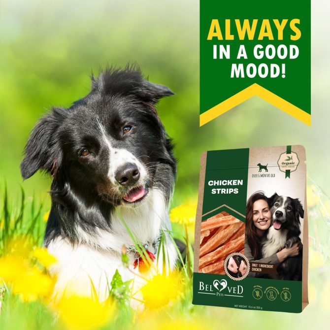 Chicken Strips Dog Treats Human Grade Meat Sticks Grain Free Chews 10.6 Oz - Image 7