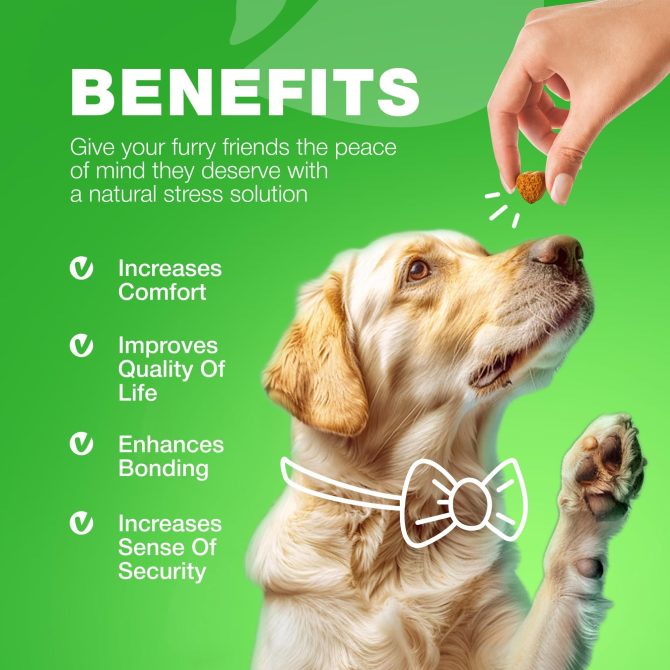 Grass Burn Spot Chews for Dogs Urine Neutralizer for Lawn Grass Savers for Dog Urine Dog Pee Lawn Spot Saver Caused by Dog Urine Grass Treatment Rocks Probiotics Enzymes & Multivitamins - Image 8