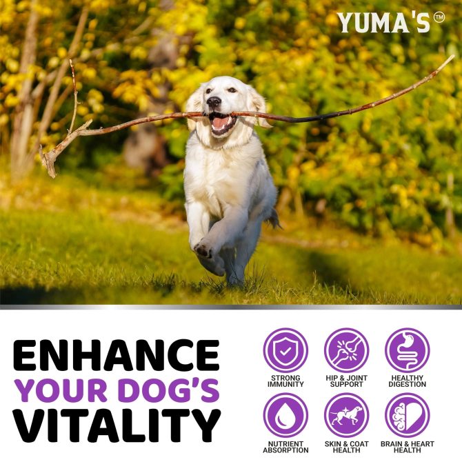 Dog Multivitamin Chewable with Glucosamine Dog Vitamins and Supplements 170 Treats Senior & Puppy Multivitamin for Dogs Hip & Joint Support Immune Health Skin Heart Digestion Probiotics - Image 4
