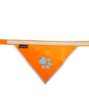 Orange Dog Bandana S Size Hi Visibility Reflective Blaze Orange Bandana for Small Pets Safety Accessories for Walking Camping and Off Leash Exploration
