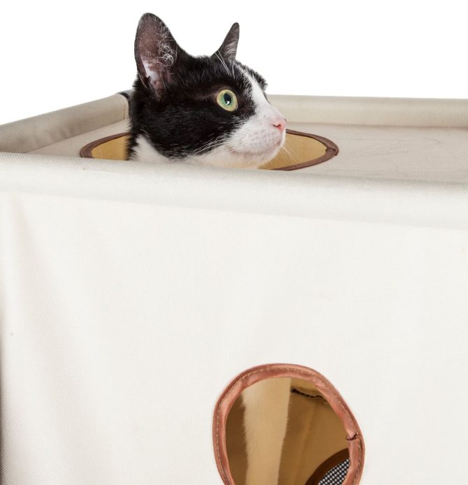 Pet Life Kitty-Square Obstacle Soft Folding Sturdy Play-Active Travel Collapsible Travel Pet Cat House Furniture - Image 14
