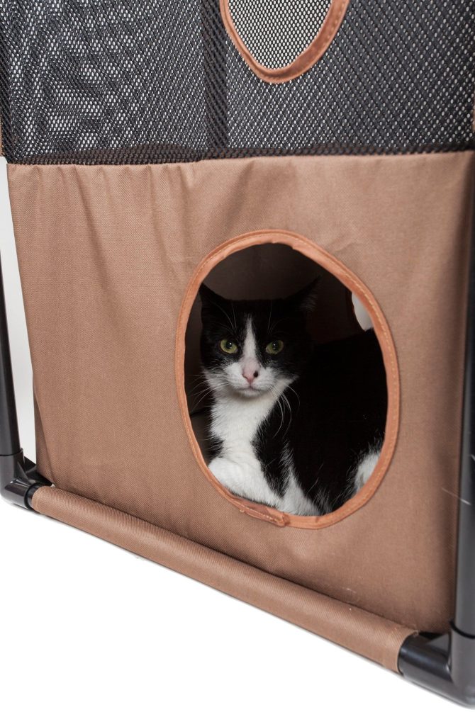 Pet Life Kitty-Square Obstacle Soft Folding Sturdy Play-Active Travel Collapsible Travel Pet Cat House Furniture - Image 15