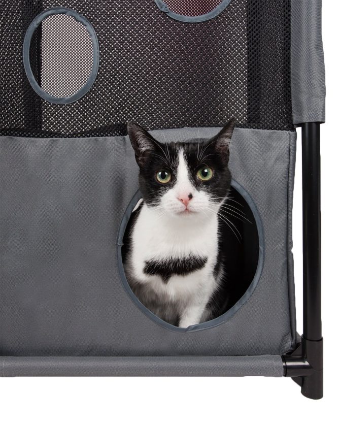 Pet Life Kitty-Square Obstacle Soft Folding Sturdy Play-Active Travel Collapsible Travel Pet Cat House Furniture - Image 9