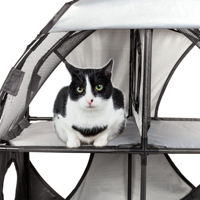 Pet Life Kitty-Play Obstacle Travel Collapsible Soft Folding Pet Cat House - Image 15