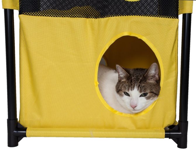 Pet Life Kitty-Square Obstacle Soft Folding Sturdy Play-Active Travel Collapsible Travel Pet Cat House Furniture - Image 18