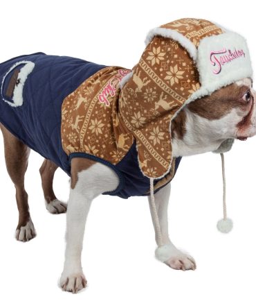 Touchdog Snowadayz Pom Pom Pet Hooded Sweater
