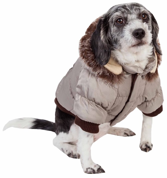 Metallic Fashion Pet Parka Coat - Image 30