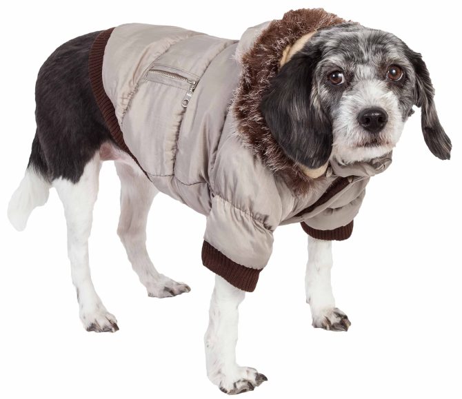 Metallic Fashion Pet Parka Coat - Image 29