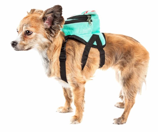 Pet Life 'Dumbone' Dual-Pocketed Compartmental Animated Dog Harness Backpack - Image 11