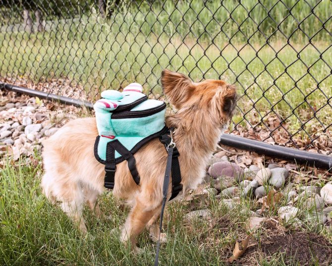 Pet Life 'Dumbone' Dual-Pocketed Compartmental Animated Dog Harness Backpack - Image 18