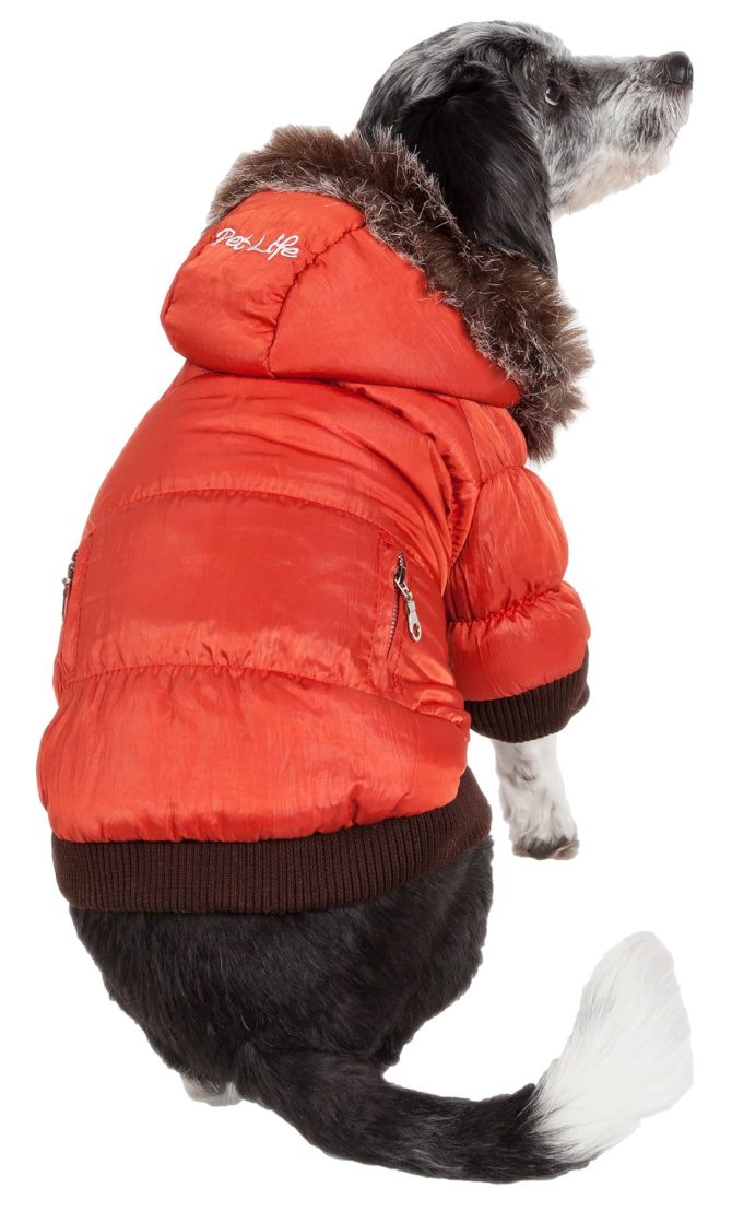 Metallic Fashion Pet Parka Coat - Image 16