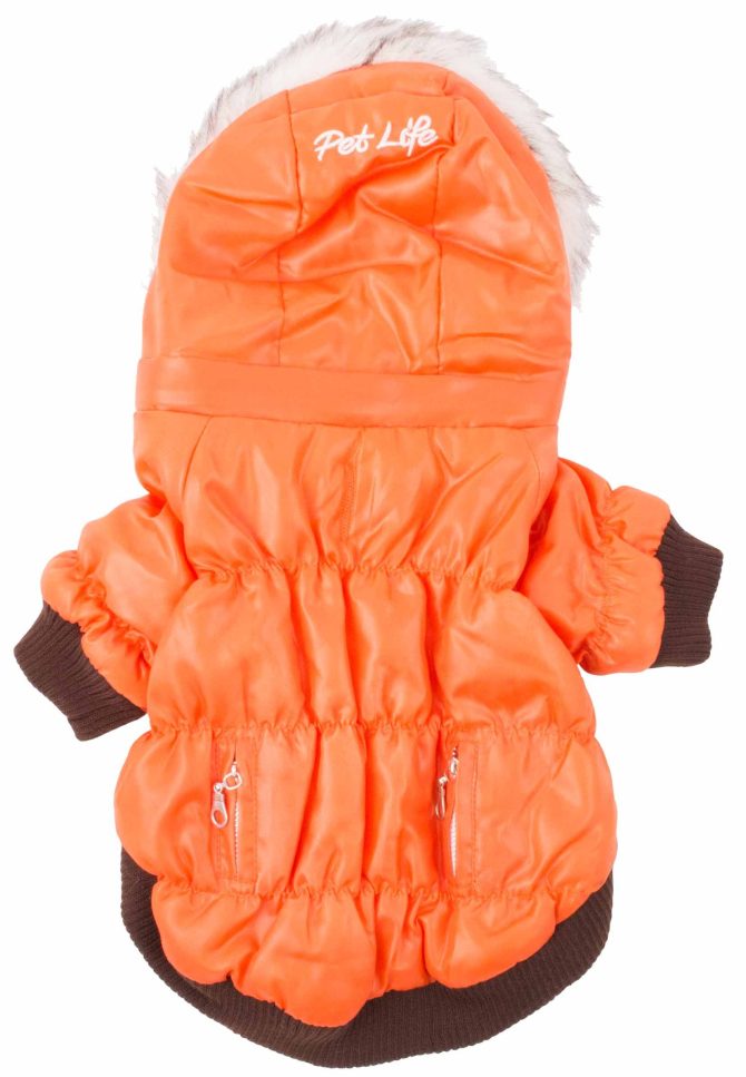 Metallic Fashion Pet Parka Coat - Image 19