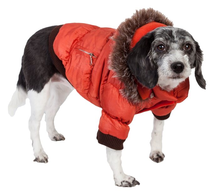 Metallic Fashion Pet Parka Coat - Image 15