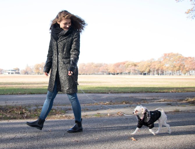 Metallic Fashion Pet Parka Coat - Image 30