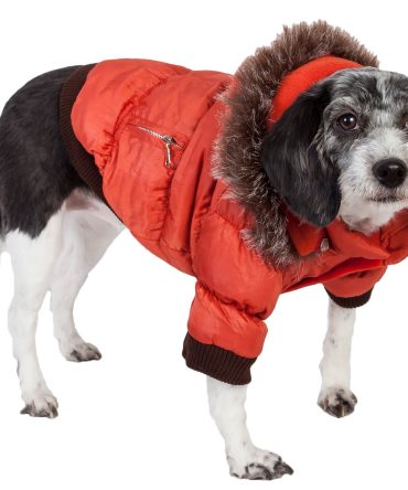 Metallic Fashion Pet Parka Coat