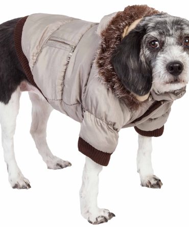 Metallic Fashion Pet Parka Coat