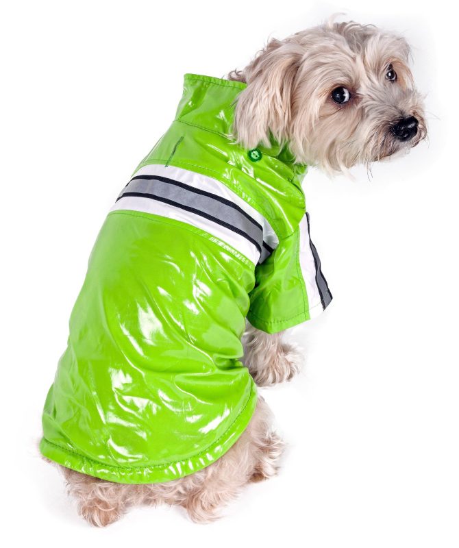 Reflecta-Glow Reflective Waterproof Adjustable Pvc Pet Raincoat - Image 12