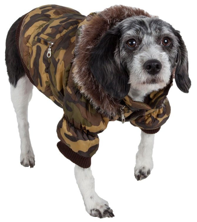 Metallic Fashion Pet Parka Coat - Image 37