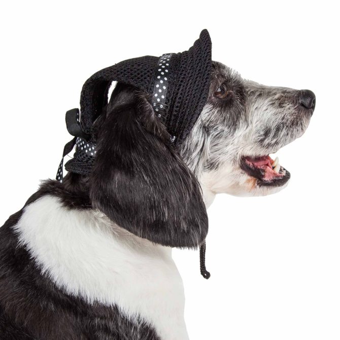 Pet Life 'Sea Spot Sun' Uv Protectant Adjustable Fashion Mesh Brimmed Dog Hat Cap - Image 17