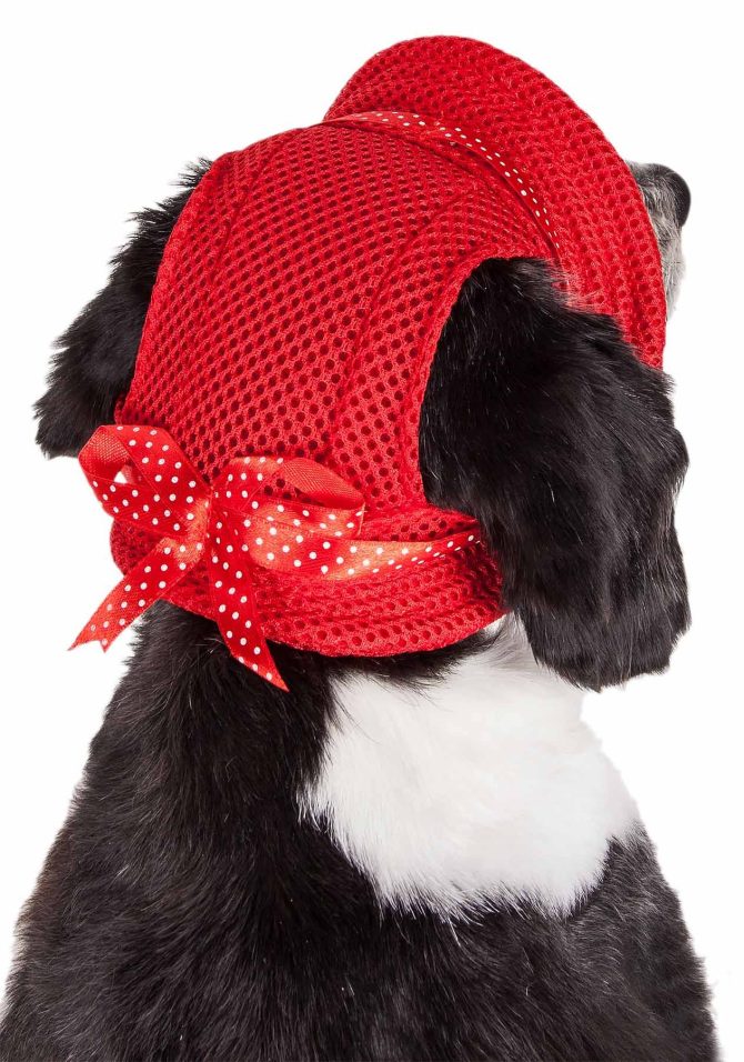 Pet Life 'Sea Spot Sun' Uv Protectant Adjustable Fashion Mesh Brimmed Dog Hat Cap - Image 13