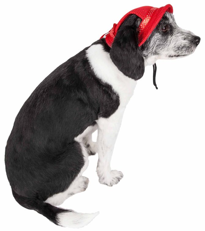 Pet Life 'Sea Spot Sun' Uv Protectant Adjustable Fashion Mesh Brimmed Dog Hat Cap - Image 14