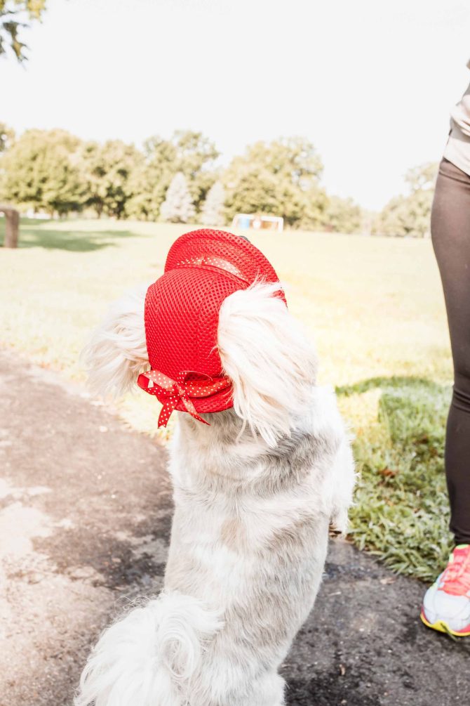 Pet Life 'Sea Spot Sun' Uv Protectant Adjustable Fashion Mesh Brimmed Dog Hat Cap - Image 16