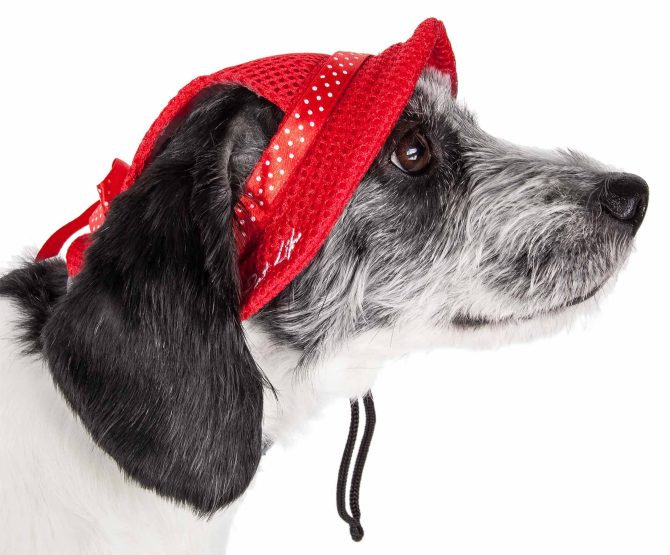 Pet Life 'Sea Spot Sun' Uv Protectant Adjustable Fashion Mesh Brimmed Dog Hat Cap - Image 11