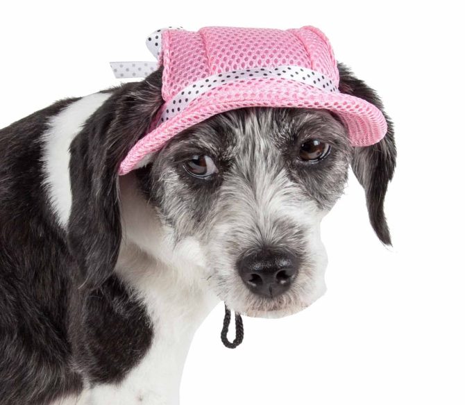 Pet Life 'Sea Spot Sun' Uv Protectant Adjustable Fashion Mesh Brimmed Dog Hat Cap - Image 21