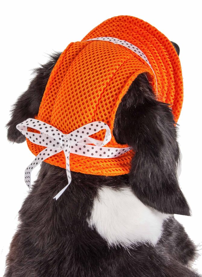 Pet Life 'Sea Spot Sun' Uv Protectant Adjustable Fashion Mesh Brimmed Dog Hat Cap - Image 32