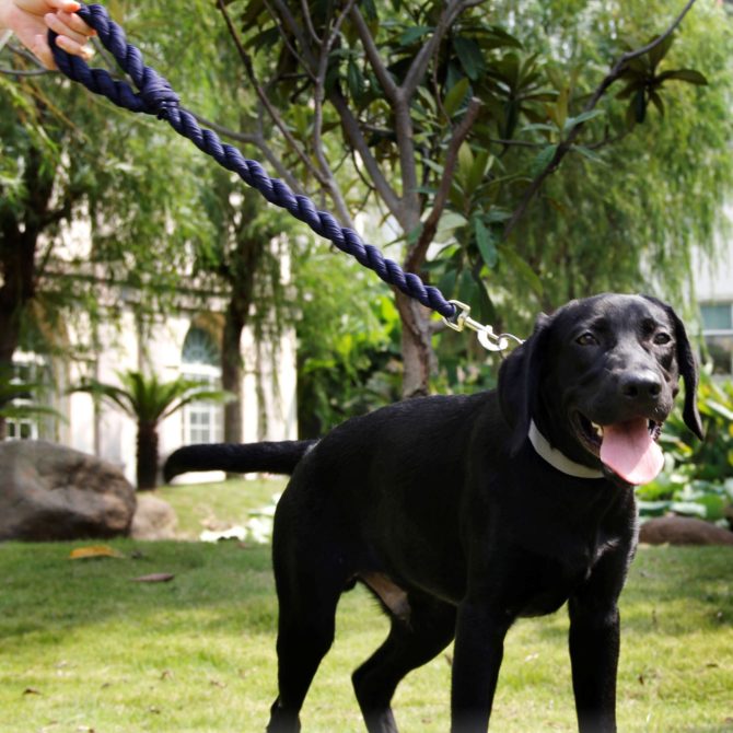 Pet Life Tough-Tugger Industrial-Strength Shock Absorption Woven Dog Leash - Image 7