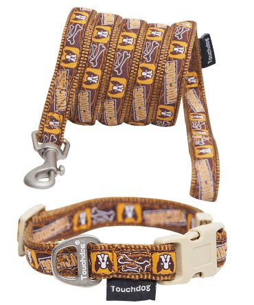 Touchdog 'Caliber' Designer Embroidered Fashion Pet Dog Leash And Collar Combination
